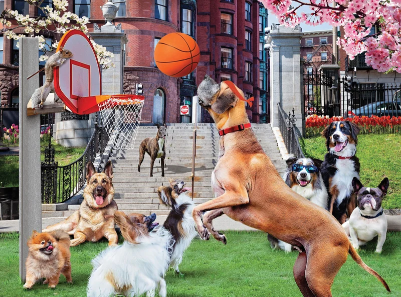 Shooting Hoops, Karen Burke (1000pcs)