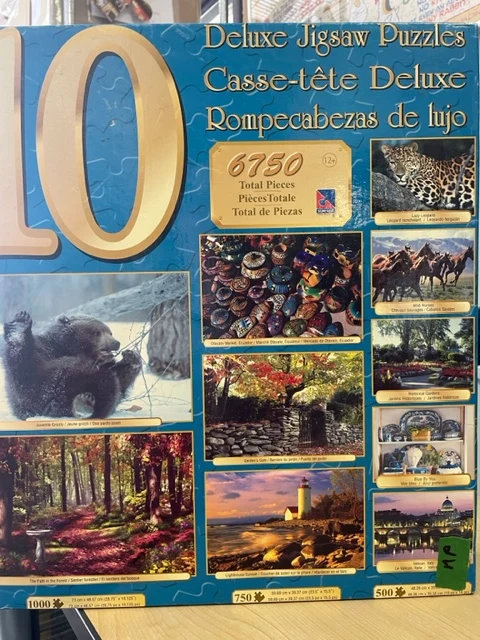PFG 10-in-1 Deluxe Jigsaw Puzzles (Usagé/Used - PUZZLES FOR GOOD)