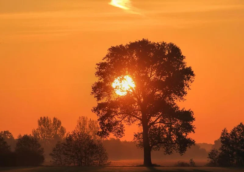 28008 Natur - Sonnenuntergang Puzzle