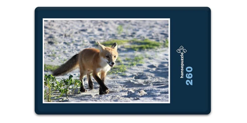 17234 Tierwelt - Fuchs Puzzle