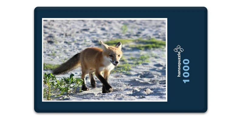17234 Tierwelt - Fuchs Puzzle
