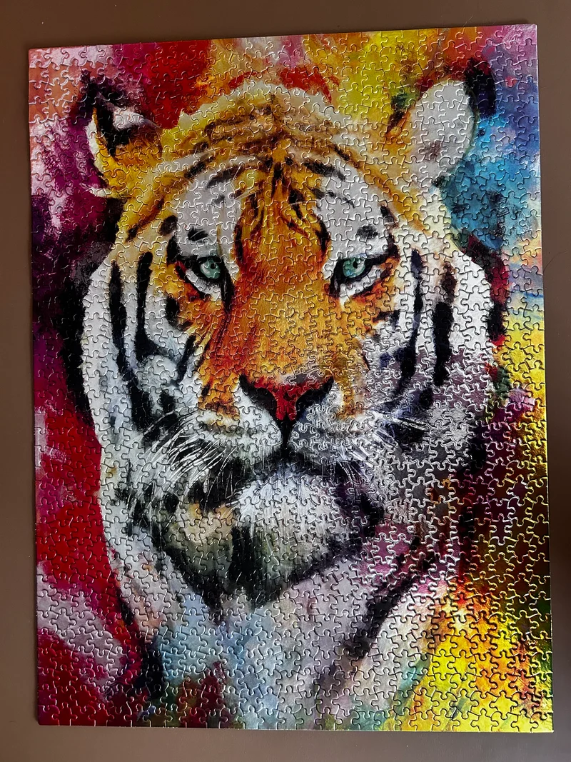 Vibrant Safari - Tiger (1000pcs)