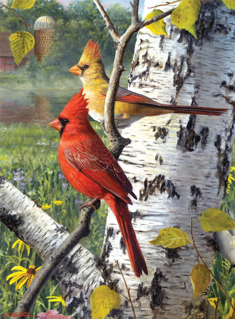 Cardinals and Birch, Hautman Brothers