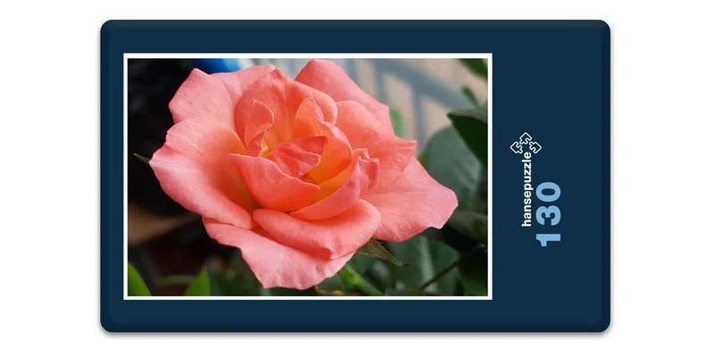 17212 Natur - Rose Puzzle