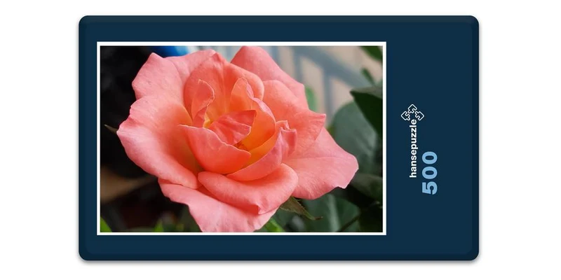 17212 Natur - Rose Puzzle