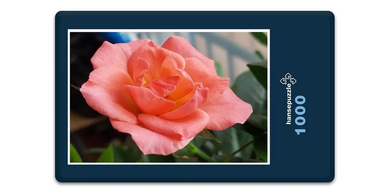 17212 Natur - Rose Puzzle