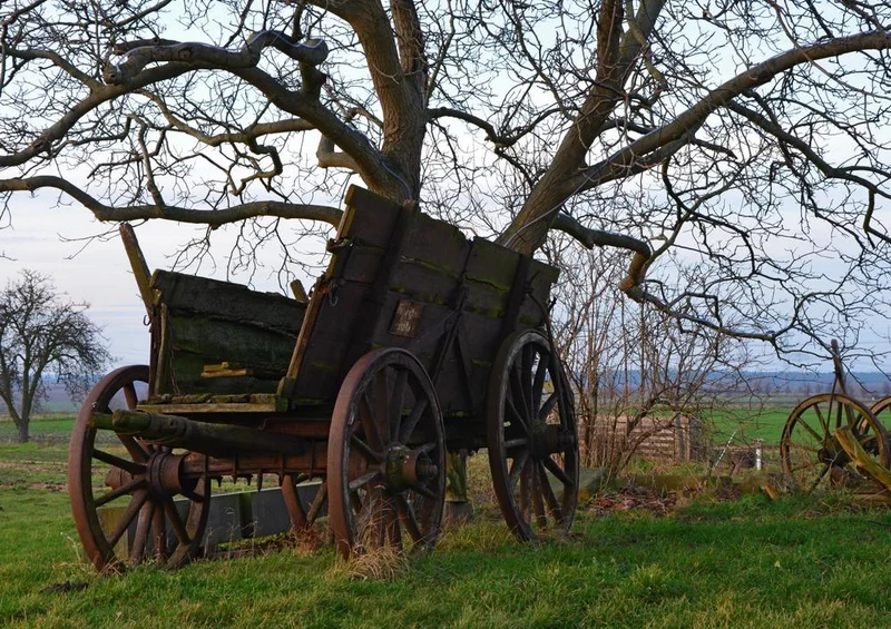 17216 Fortbewegung - alte Kutsche Puzzle