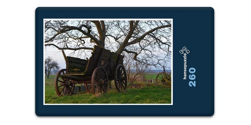 17216 Fortbewegung - alte Kutsche Puzzle