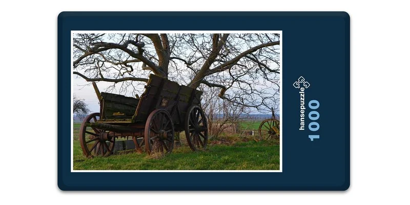 17216 Fortbewegung - alte Kutsche Puzzle