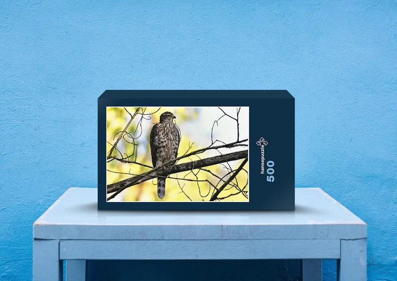 27898 Natur - Greifvogel Puzzle