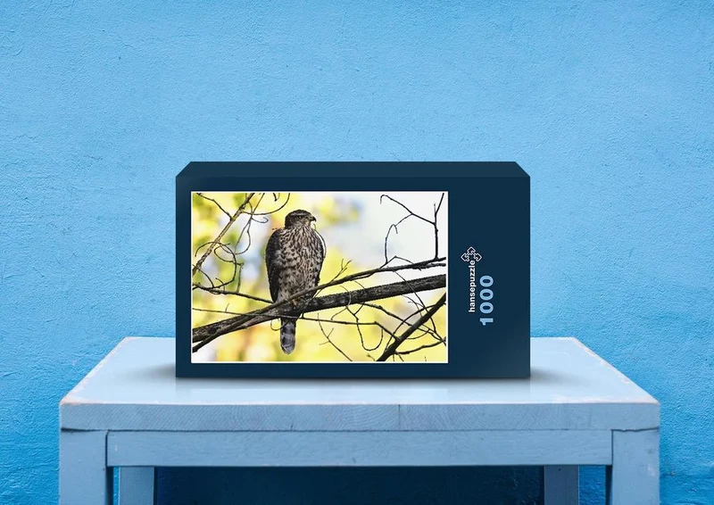 27898 Natur - Greifvogel Puzzle