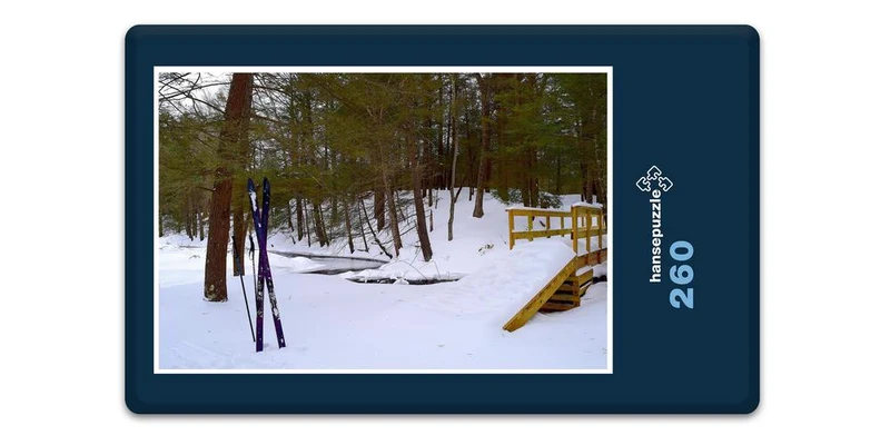 17140 Sport - Ski imWald Puzzle