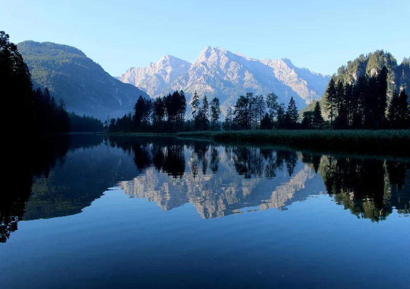 17306 Natur - See Puzzle
