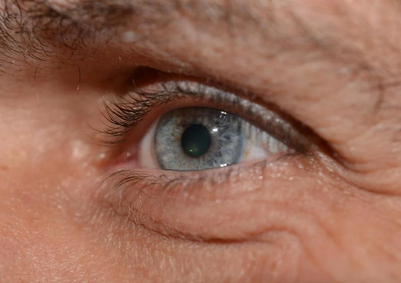 16963 Menschen - Auge Puzzle