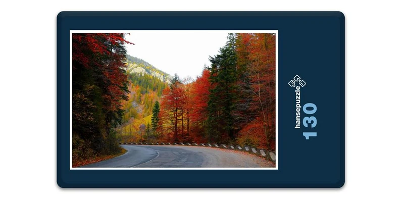 17236 Natur - Herbst-Farben Puzzle