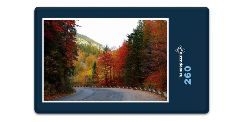 17236 Natur - Herbst-Farben Puzzle
