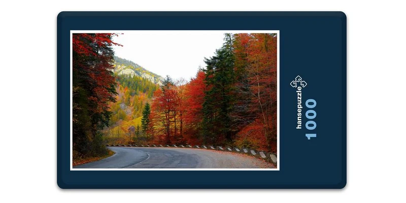 17236 Natur - Herbst-Farben Puzzle