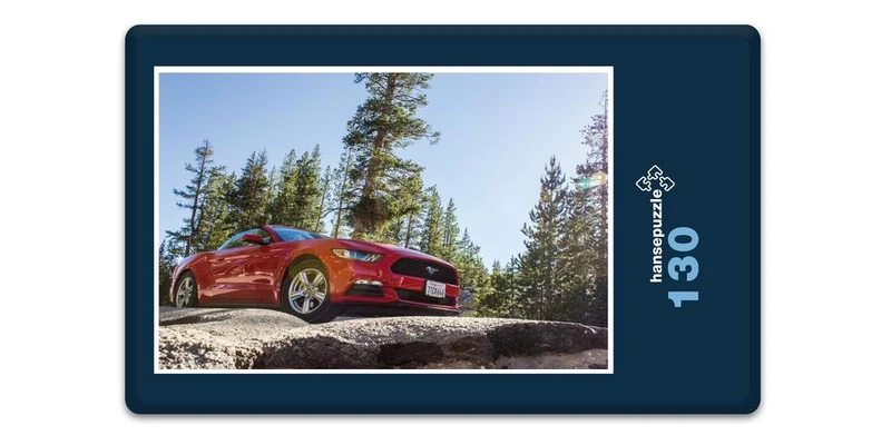 17237 Fortbewegung - Wilder Mustang Puzzle