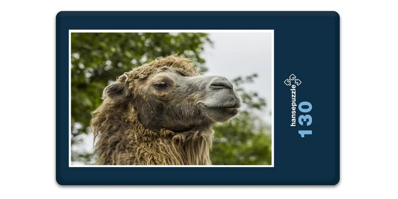 17219 Tierwelt - Alles im Blick Puzzle