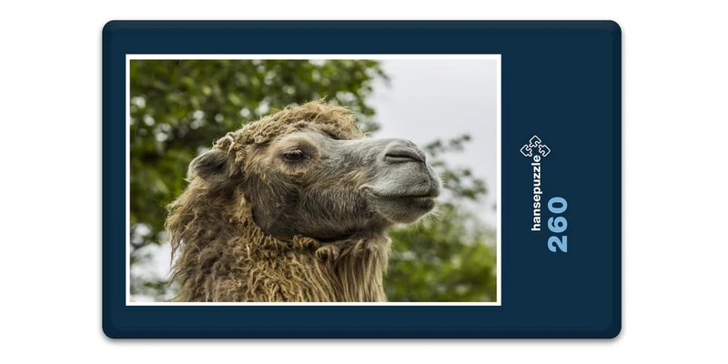 17219 Tierwelt - Alles im Blick Puzzle