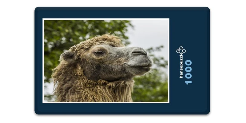 17219 Tierwelt - Alles im Blick Puzzle