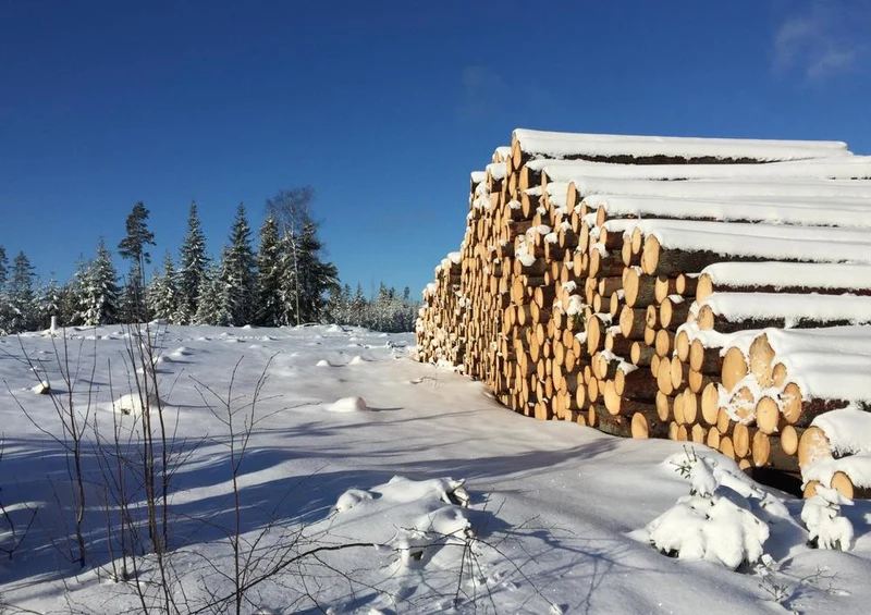 23191 Natur - Holzstapel im Schnee Puzzle