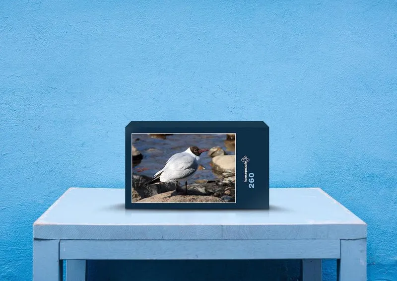 23180 Tierwelt - Vogel am Meer Puzzle