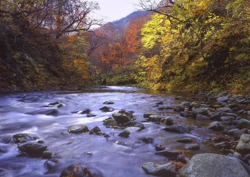28086 Natur - Flussbett Puzzle