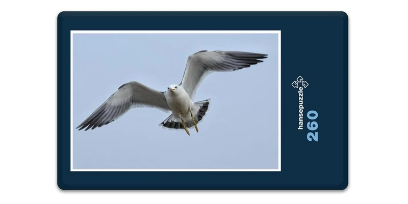 17238 Tierwelt - Möwe im Flug Puzzle