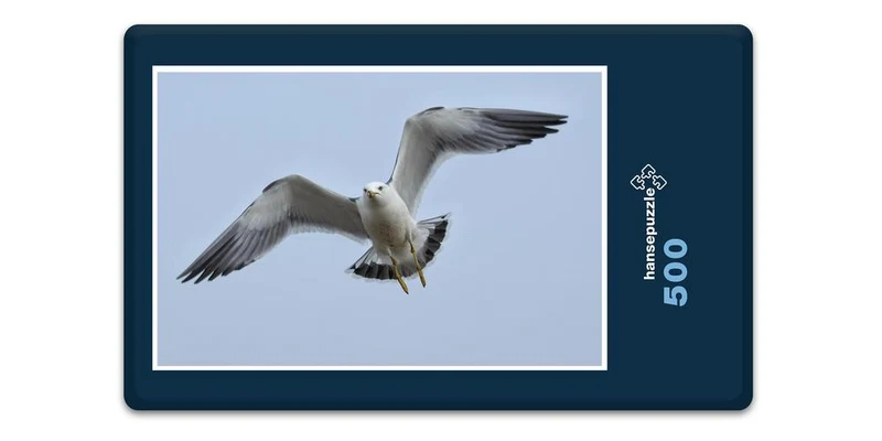 17238 Tierwelt - Möwe im Flug Puzzle