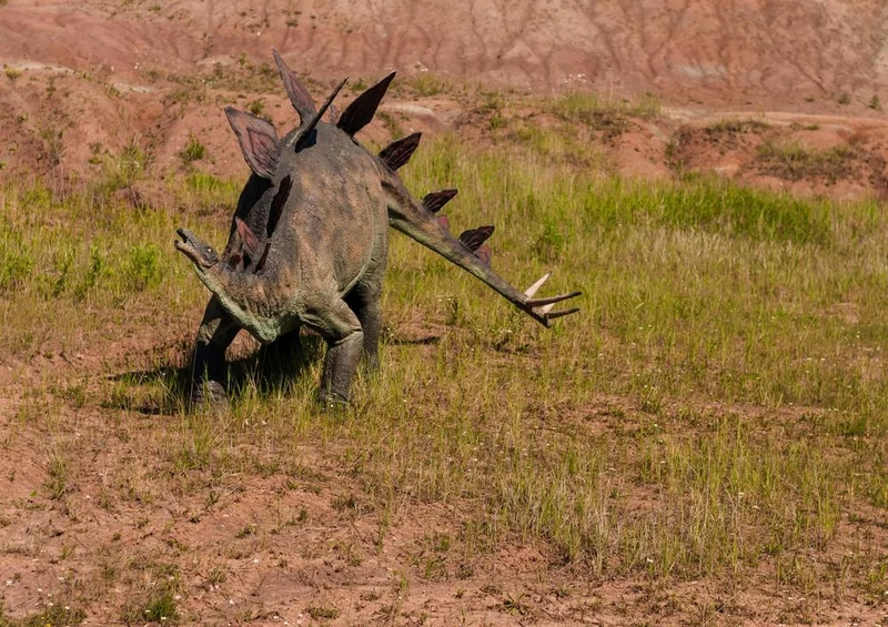 17261 Tierwelt - Dinosaurier Puzzle