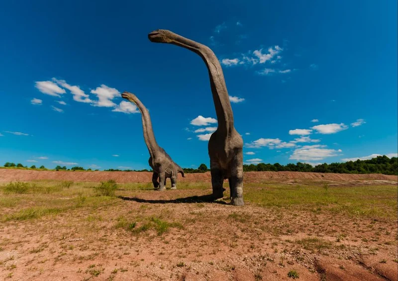 17264 Tierwelt - Brachiosaurus Puzzle