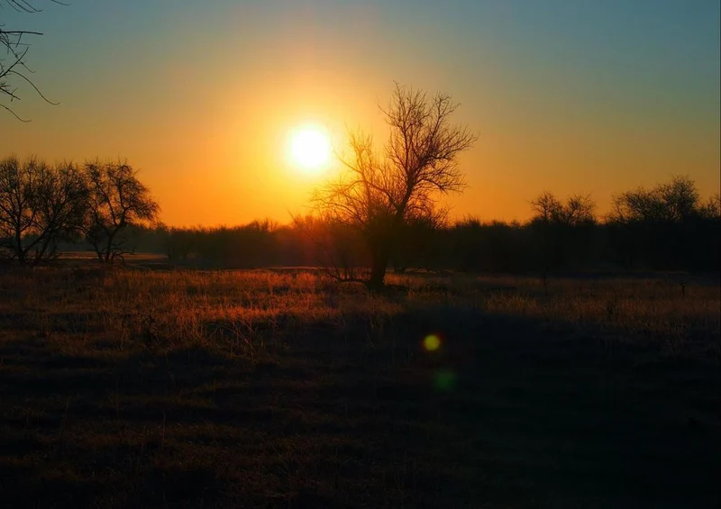 22351 Natur - Sonnenuntergang Puzzle