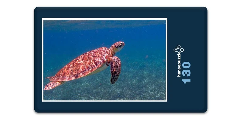 17224 Tierwelt - Schildkröte Puzzle
