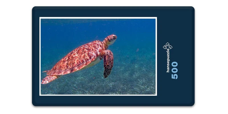 17224 Tierwelt - Schildkröte Puzzle