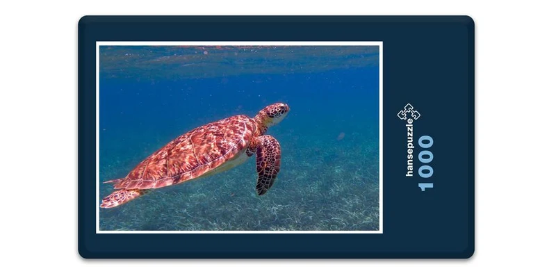 17224 Tierwelt - Schildkröte Puzzle