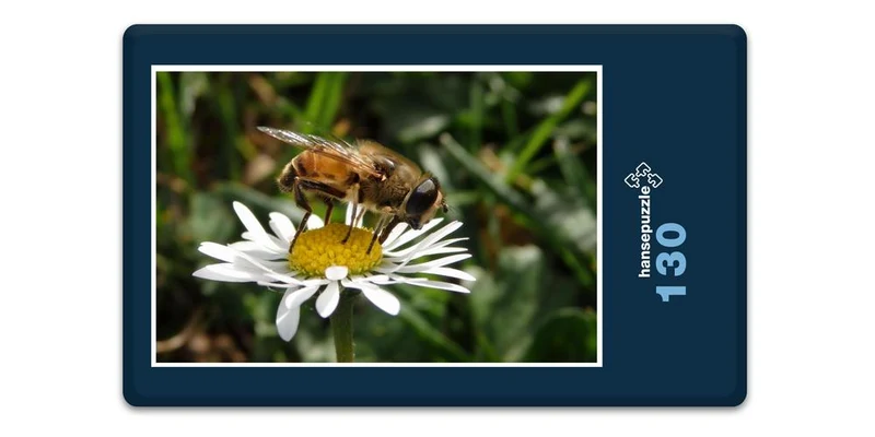 17225 Natur - Biene Puzzle