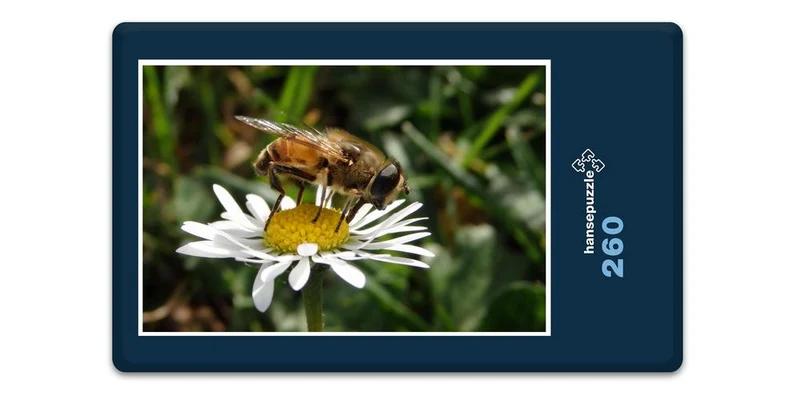17225 Natur - Biene Puzzle