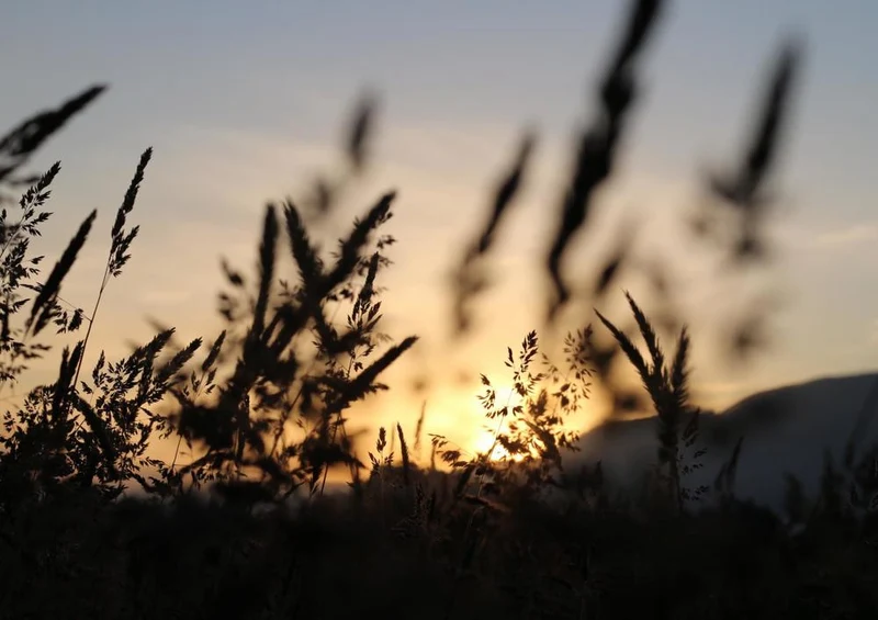 22332 Reisen - Sonnenaufgang Puzzle