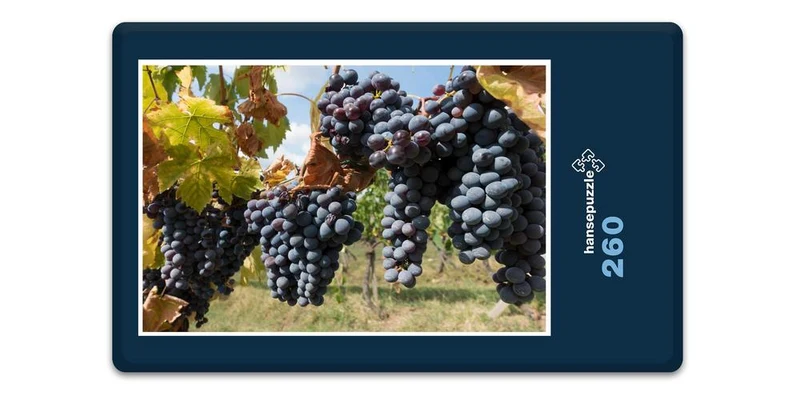 17385 Natur - Trauben Puzzle