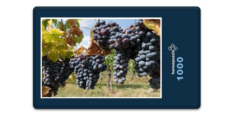 17385 Natur - Trauben Puzzle