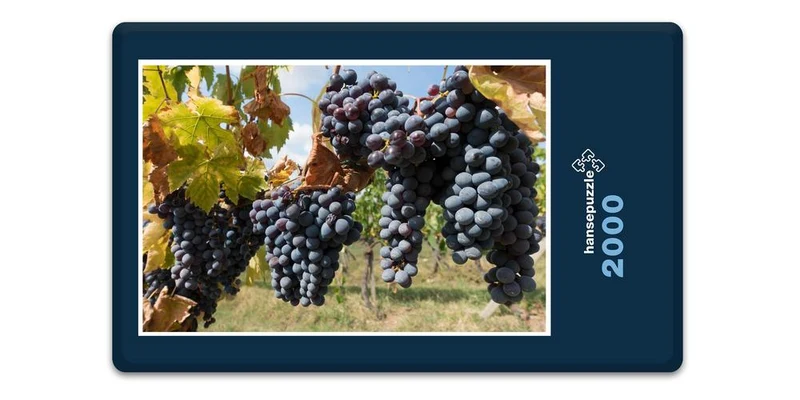 17385 Natur - Trauben Puzzle