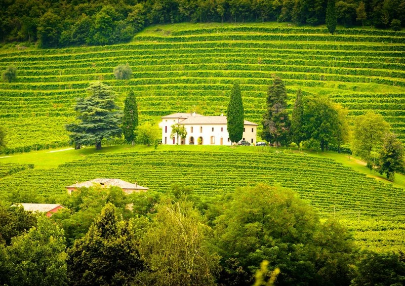 26364 Orte - Weingut Puzzle