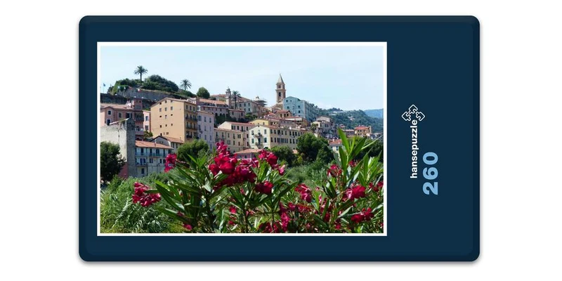 17351 Orte - Altstadt Puzzle
