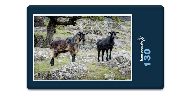17352 Tierwelt - Ziegen Puzzle