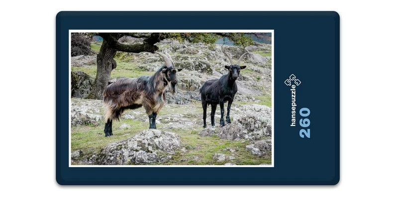17352 Tierwelt - Ziegen Puzzle