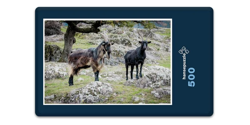 17352 Tierwelt - Ziegen Puzzle