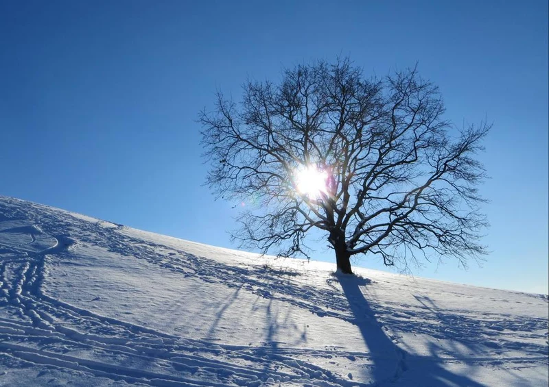 18922 Natur - Schnee-Landschaft Puzzle