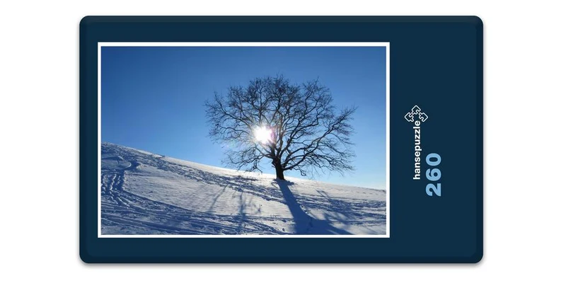 18922 Natur - Schnee-Landschaft Puzzle