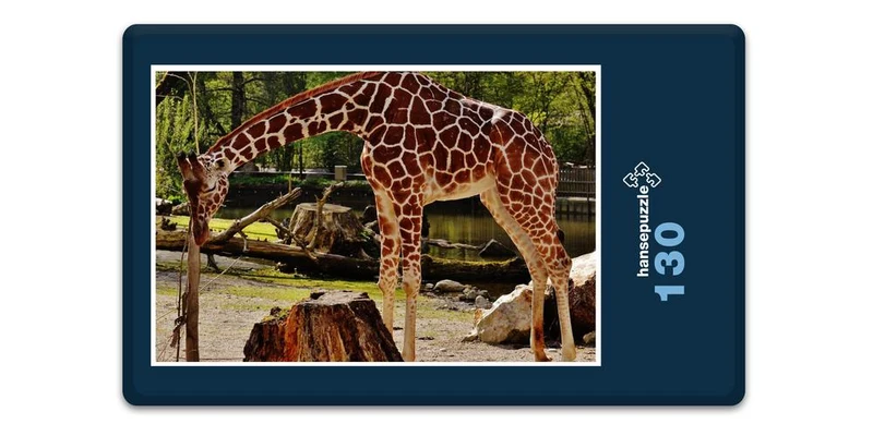 18910 Tierwelt - Giraffe Puzzle